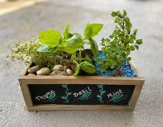 Plant Workshop: Herb Gardens . Thursday June 6 . BriarBrothers Brewing Co.