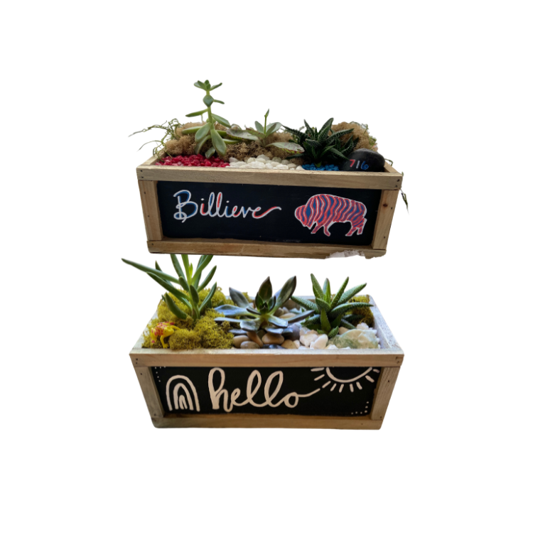Succulent Garden Workshop . Chalkboard Planters: Buffalo or