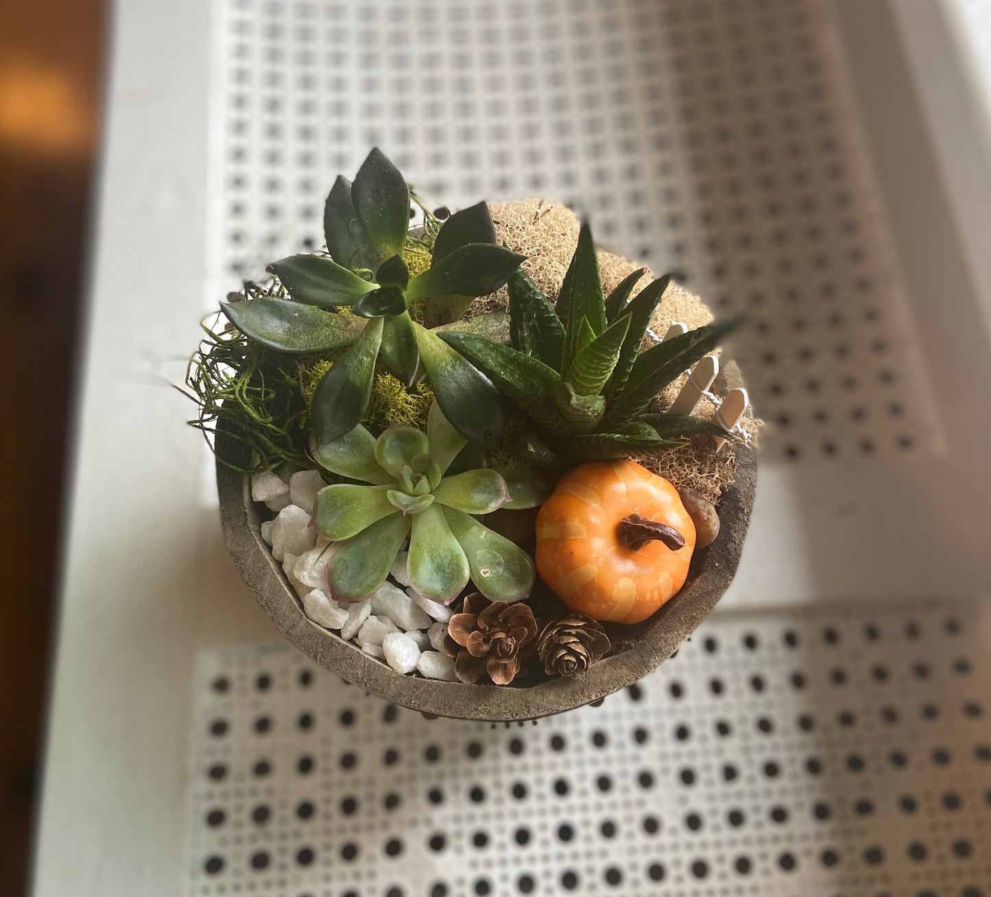 Whiskey Barrel Succulent Garden Workshop . Saturday September 23 . Magic Bear Beer Cellar