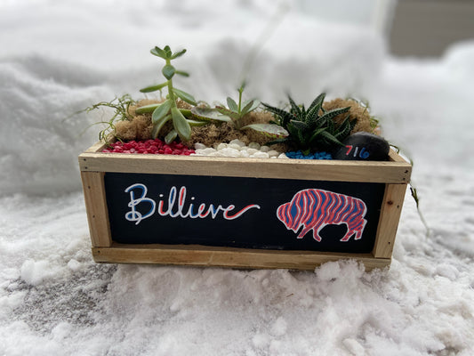 Succulent Garden Workshop in Chalkboard Planter: Bills & Neutral Designs . Friday January 24 . Tap That Tap Room