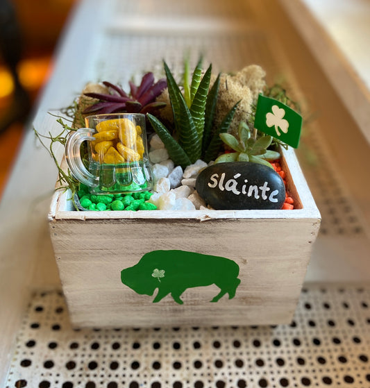 Succulent Garden Workshop: Buffalo Irish Beer Garden . Saturday March 7 . One Eyed Cat Craft House