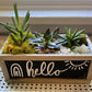 Succulent Garden Workshop in Chalkboard Planter: Bills & Neutral Designs . Friday January 24 . Tap That Tap Room