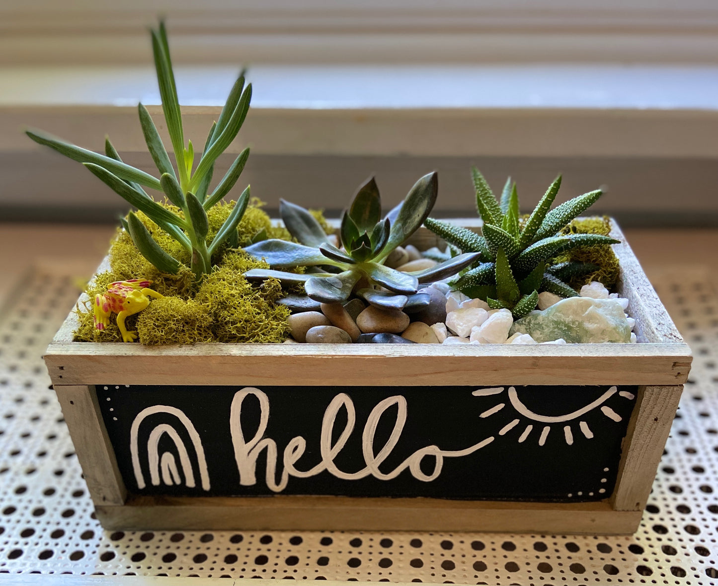 Succulent Garden Workshop in Chalkboard Planter: Bills & Neutral Designs . Friday January 24 . Tap That Tap Room