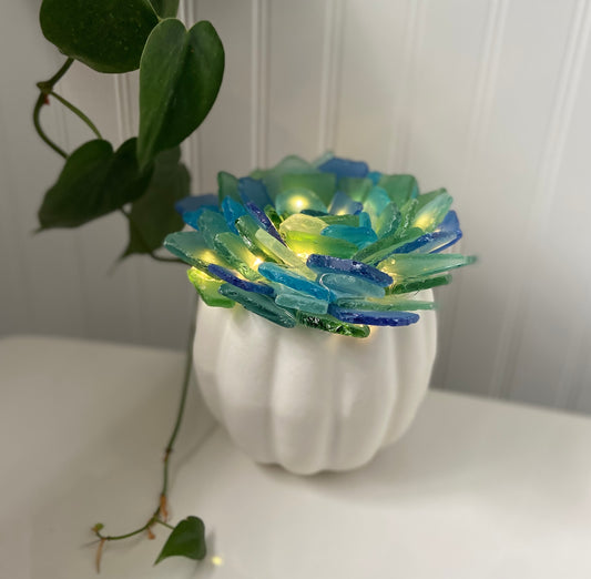 Sea Glass Succulent Pumpkin Workshop . Saturday September 13 . One Eyed Cat Brewing