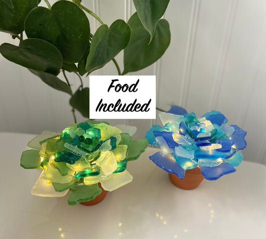 Sea Glass Succulents Workshop . Thursday August 28 . Coyote Cafe Hamburg