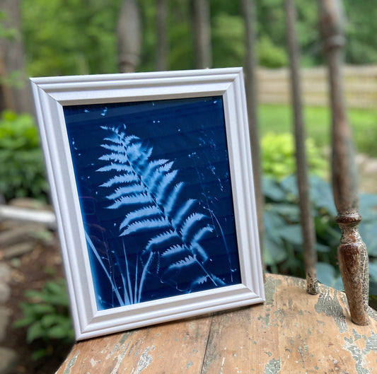 Cyanotype "Sun Print" Workshop . Saturday June 13 . Black Flower Wine & Provisions