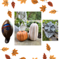 Concrete Porch Pumpkin (or Bills Football) Workshop . Wednesday September 16 . BriarBrothers Brewing