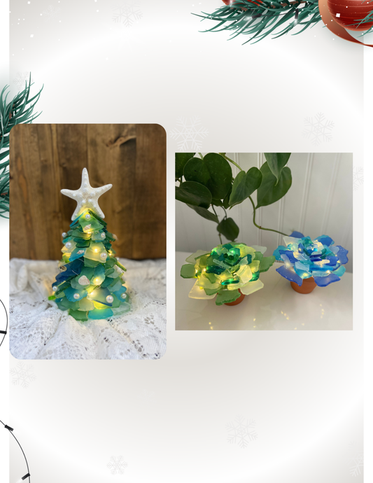 Sea Glass Succulents OR Christmas Tree Workshop . Tuesday June 30 . Magic Bear Beer Cellar