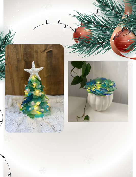 Sea Glass Christmas Tree OR Succulent Pumpkin Workshop . Friday November 7 . Beer Kind Brewing