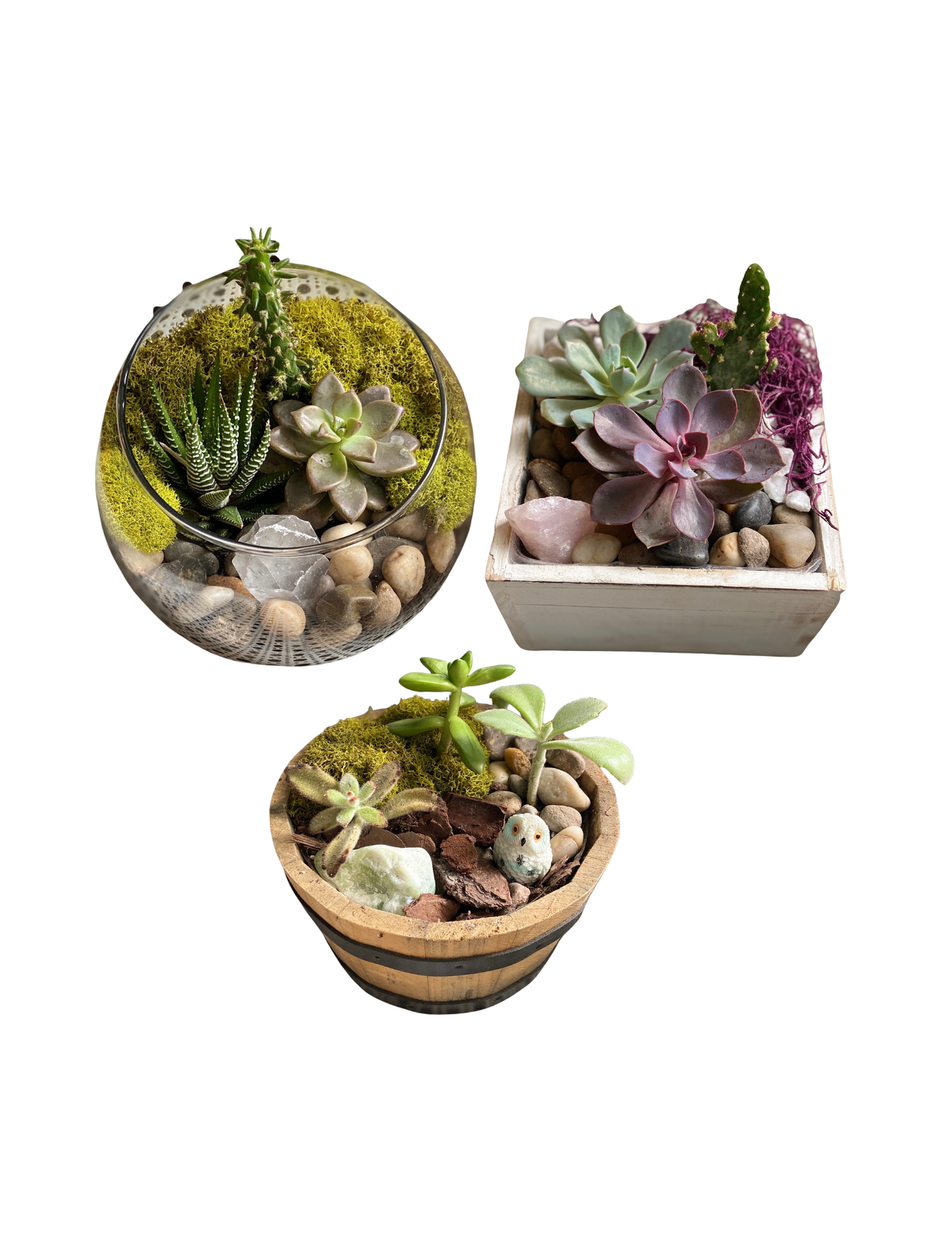 Plant Workshop: Succulent Garden & Crystals . Sunday May 31 . Windy Br   Create Flow Buffalo